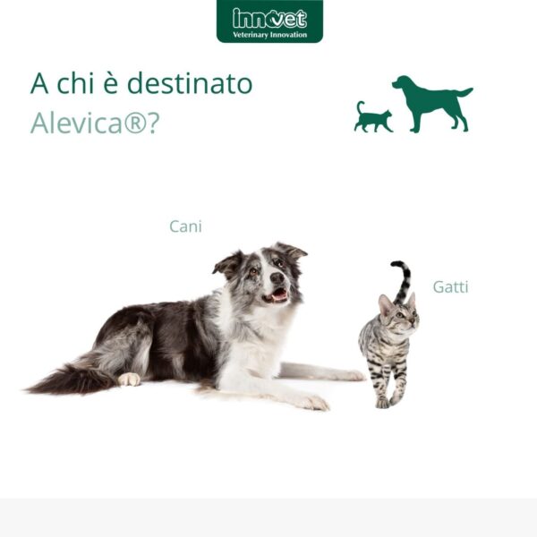 Innovet Alevica® Integratore Compresse Masticabili per Cani e Gatti