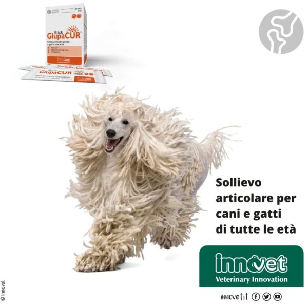 Innovet Glupacur® Stick Integratore Articolare per Cani e Gatti di Tutte le Età 30 Stick Orali - Informazione