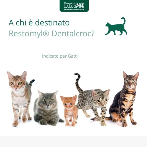 Innovet Restomyl® Dentalcroc - Cat per Gatti 60g