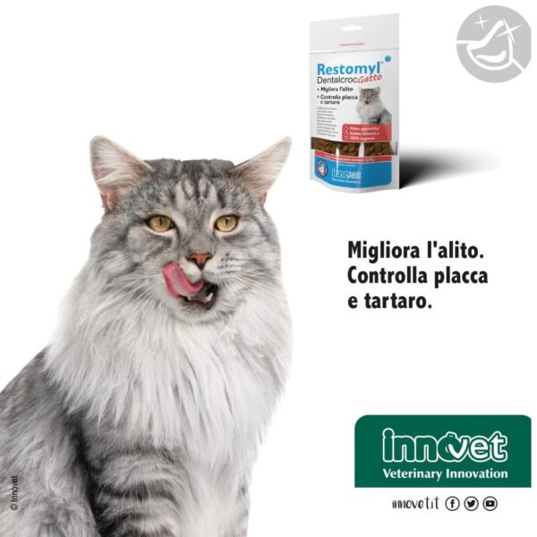 Innovet Restomyl® Dentalcroc - Cat per Gatti 60g