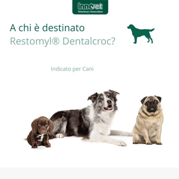 Innovet Restomyl® Dentalcroc per Cani di Piccola Taglia 60g