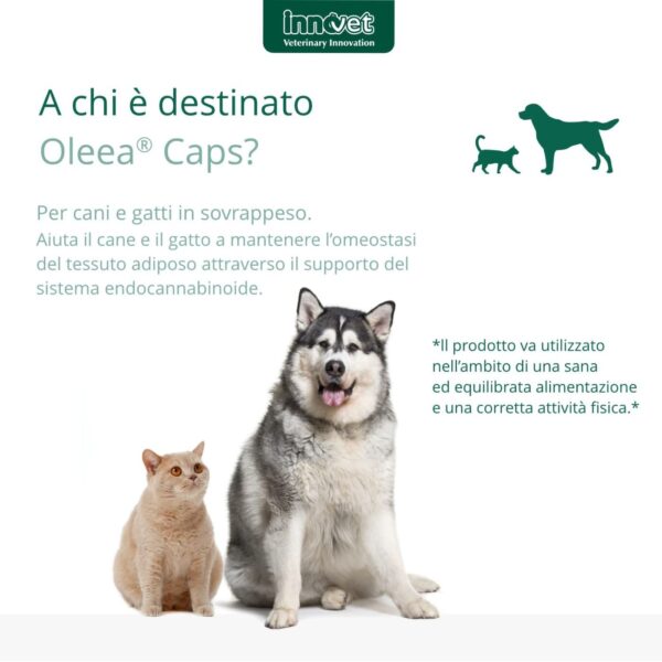 Innovet Oleea® Caps 60 Capsule per Cani e Gatti in Sovrappeso - Destinazione