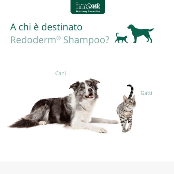 Innovet Redoderm® Shampoo 250 ml per Cani e Gatti