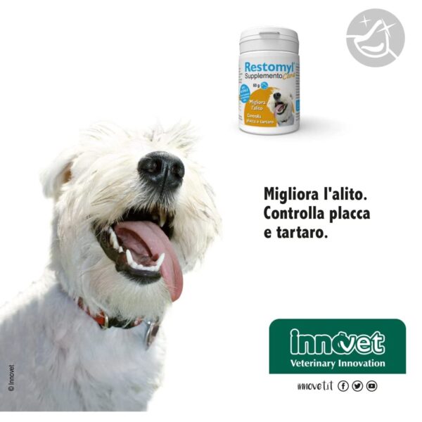 Innovet Restomil® Supplemento - Cane 60g per Cani