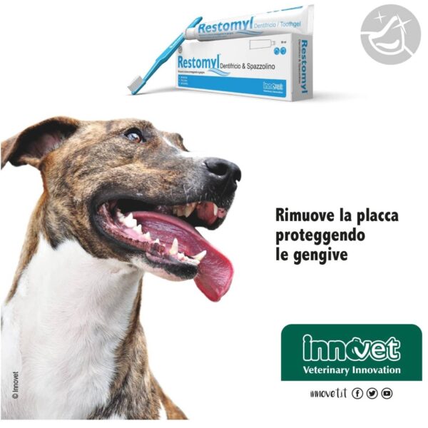 Innovet Restomyl® Dentifricio con Spazzolino Extra Soft per Cani e Gatti