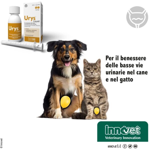 Innovet Urys® Liquid 60 ml Integratore per Cani e Gatti