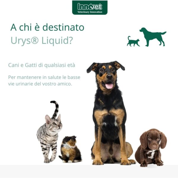 Innovet Urys® Liquid 60 ml Integratore per Cani e Gatti