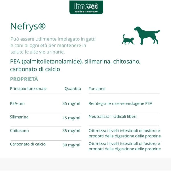 Innovet Nefrys® Integratore per Cani e Gatti 100ml - Proprietà
