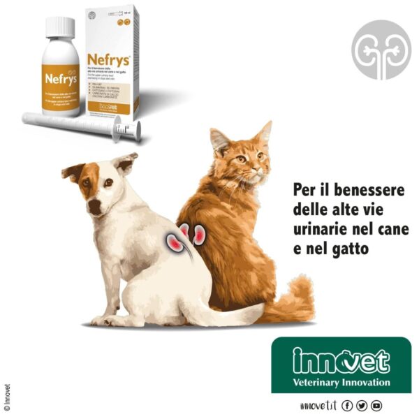 Innovet Nefrys® Integratore per Cani e Gatti 100ml