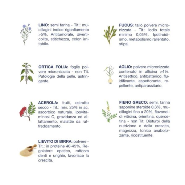 Vet Line Umido Crescita Anatra e Patate per Cuccioli Puppy VetLine - Formato 150gr caratteristiche erbe officinali