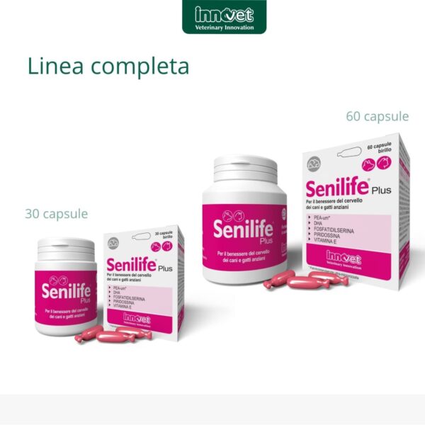 Innovet Senilife® Plus per Cani e Gatti Anziani