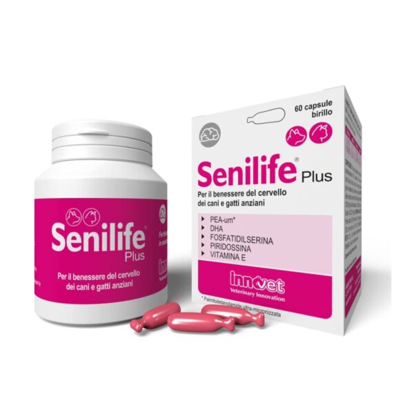 Innovet Senilife® Plus per Cani e Gatti Anziani - Formato 60 capsule
