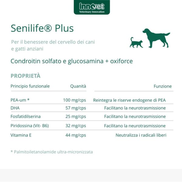 Innovet Senilife® Plus per Cani e Gatti Anziani - Proprietà