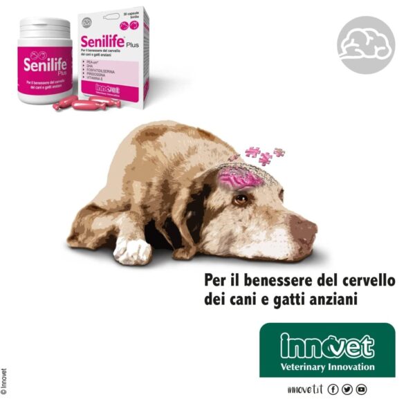 Innovet Senilife® Plus per Cani e Gatti Anziani - Funzione