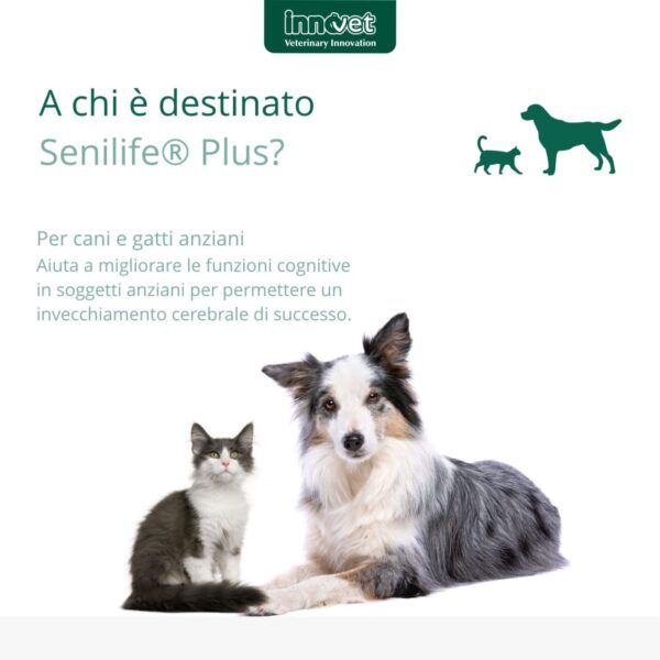 Innovet Senilife® Plus per Cani e Gatti Anziani - Destinazione