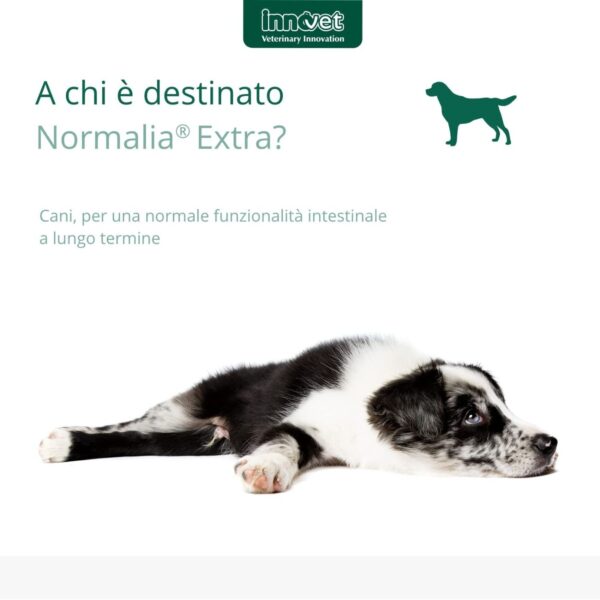 Innovet Normalia® Extra Stick per Cani - Destinazione