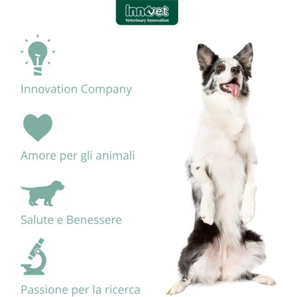 Innovet Normalia® Extra Stick per Cani - Innovet