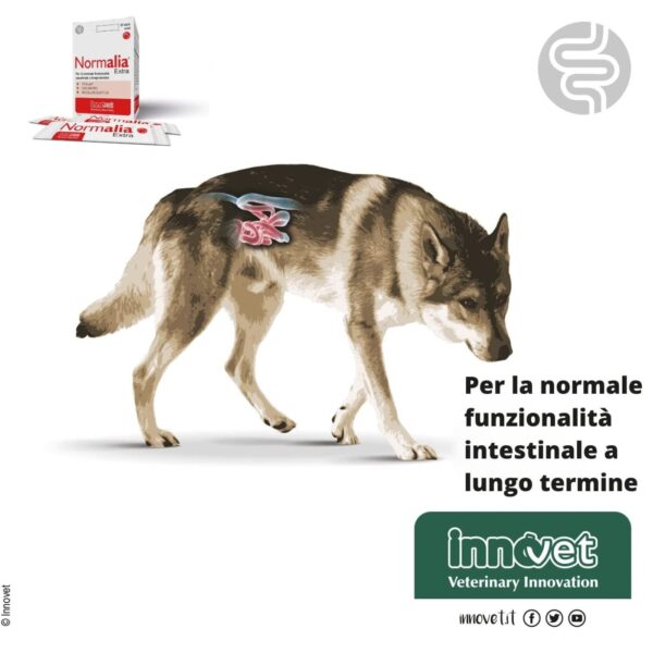Innovet Normalia® Extra Stick per Cani - Uso