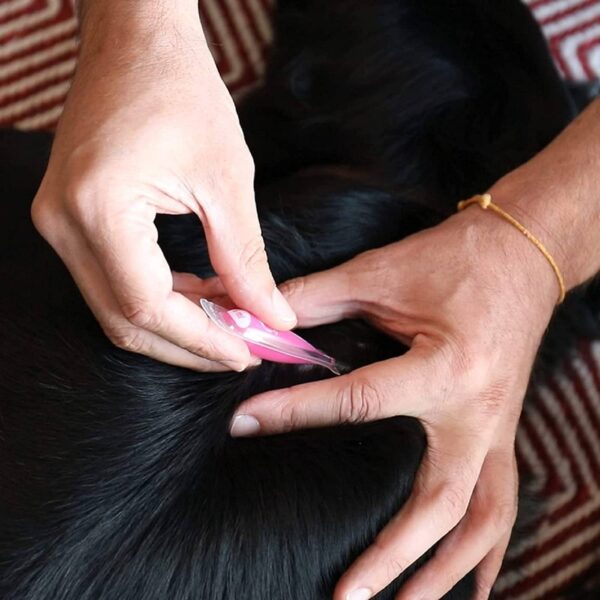 Frontline Tri-Act Spot-On Antiparassitario per Cani 3 Pipette - Applicazione