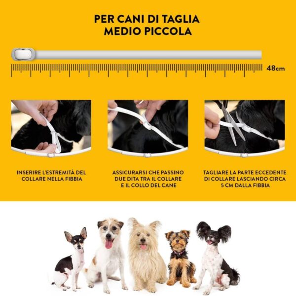 Scalibor Collare Antiparassitario per Cani - Istruzioni per cani taglia piccola-media