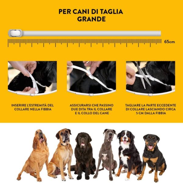 Scalibor Collare Antiparassitario per Cani - Istruzioni per cani taglia grande