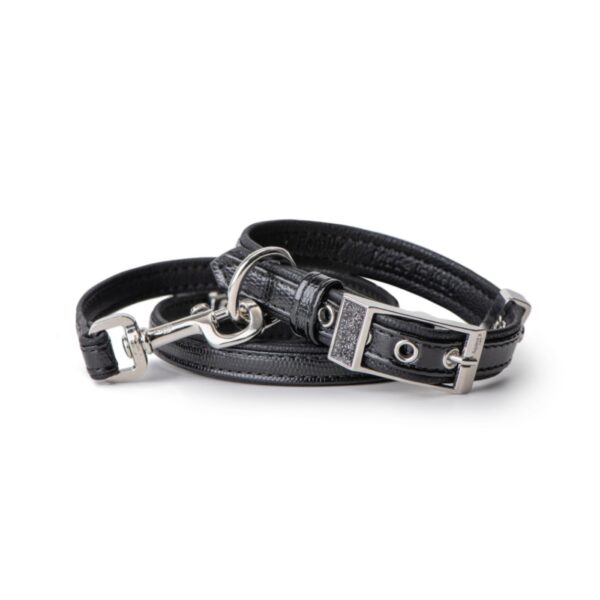 MyFamily Collare Saint Tropez in Similpelle Nero per Cani - Collare e guinzaglio