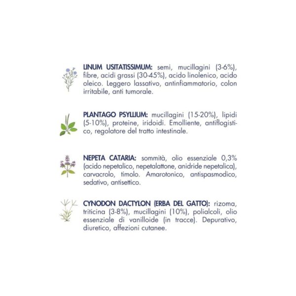 Vet Line Prevenzione Gusto Monoproteico Maiale per Gatti Adulti VetLine - Caratteristiche erbe officinali