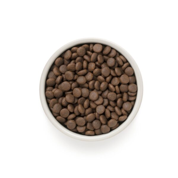 Grandorf Adult 4 Carni Medium & Maxi per Cani - Grandezza crocchetta