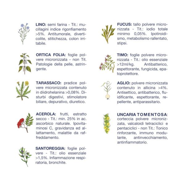 Vet Line Linea Salute Cervo per Cani Adulti VetLine - Erbe officinali
