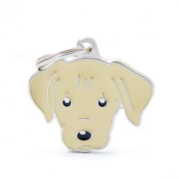 MyFamily Medaglietta per Cani Personalizzabile Labrador Crema Friends