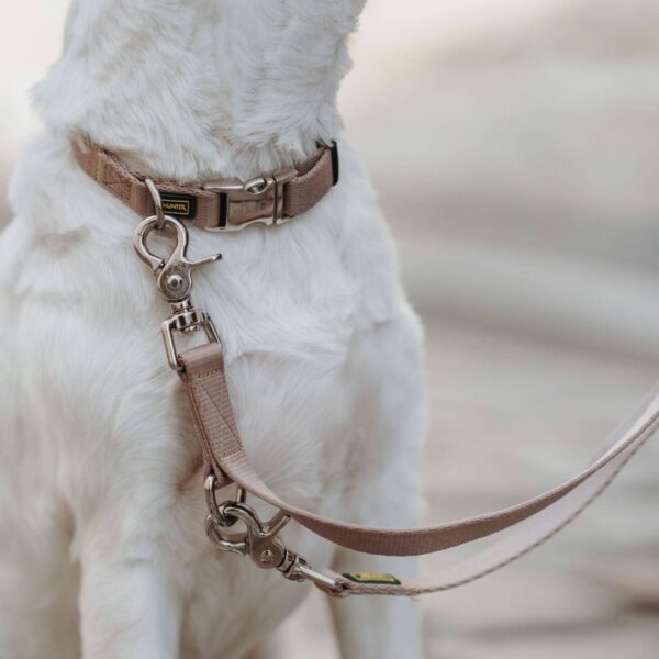 Hunter Collare Regolabile Inari Alu-Strong Beige per Cani - Con collare in abbinato