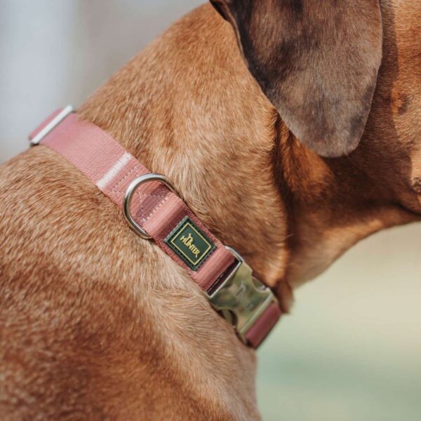 Hunter Collare Regolabile Inari Alu-Strong Rosso Pastello per Cani - Comodo