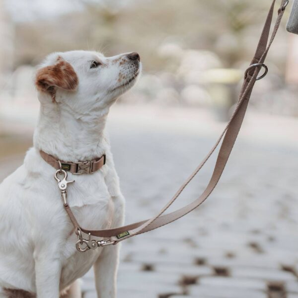Hunter Guinzaglio Regolabile Inari 20/200 in Poliestere per Cani - 3 regolazioni disponibili