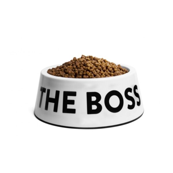 Zee.Dog Ciotola in Melamina "I'm The Boss" Bianca per Cani - Panoramica