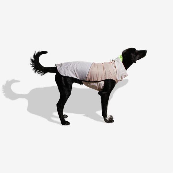 Zee.Dog Impermeabile Oatmeal per Cani - Vestibilità