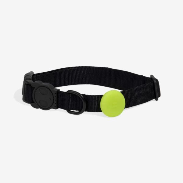 Zee.Dog Porta Airtag Lime - Realizzato in morbido lattice