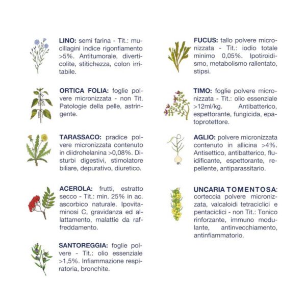 Vet Line Linea Salute Pesce Taglia Piccola per Cani Adulti VetLine - Caratteristiche erbe officinali