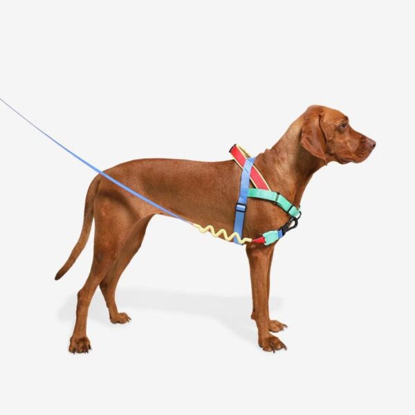 Zee.Dog Pettorina Norvegese Softer-Walk Mellow per Cani - Attacco guinzaglio sul davanti