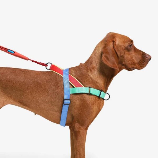 Zee.Dog Pettorina Norvegese Softer-Walk Mellow per Cani - Attacco guinzaglio sul retro