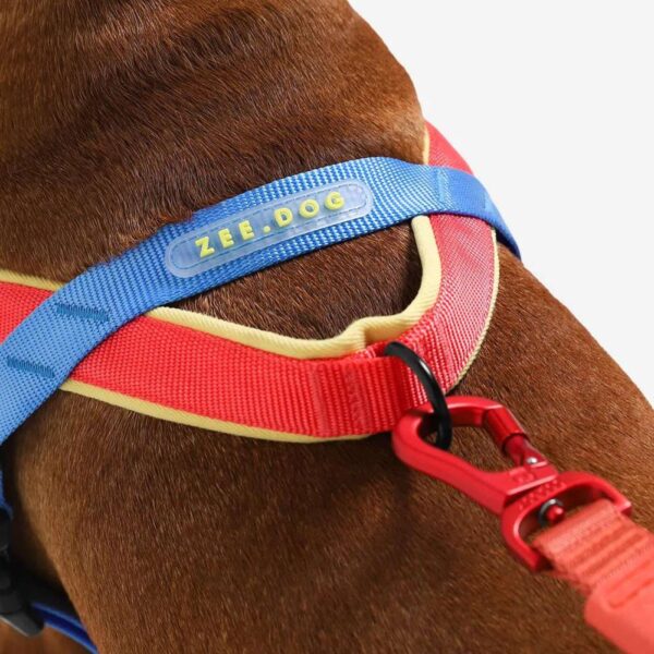 Zee.Dog Pettorina Norvegese Softer-Walk Mellow per Cani - Anello a D posizionato sul retro
