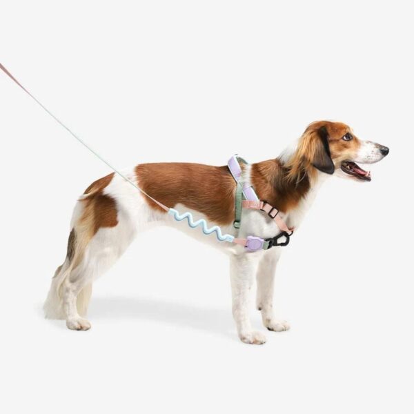 Zee.Dog Pettorina Norvegese Softer-Walk Peach per Cani - Attacco guinzaglio sul davanti
