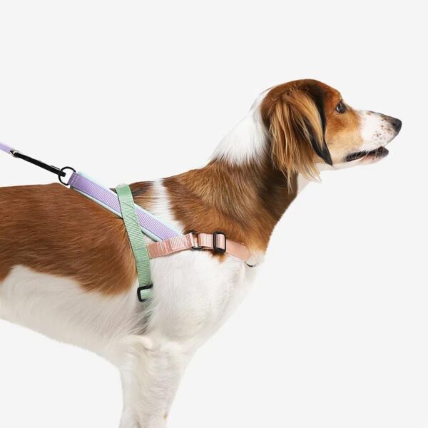 Zee.Dog Pettorina Norvegese Softer-Walk Peach per Cani - Attacco guinzaglio sul retro
