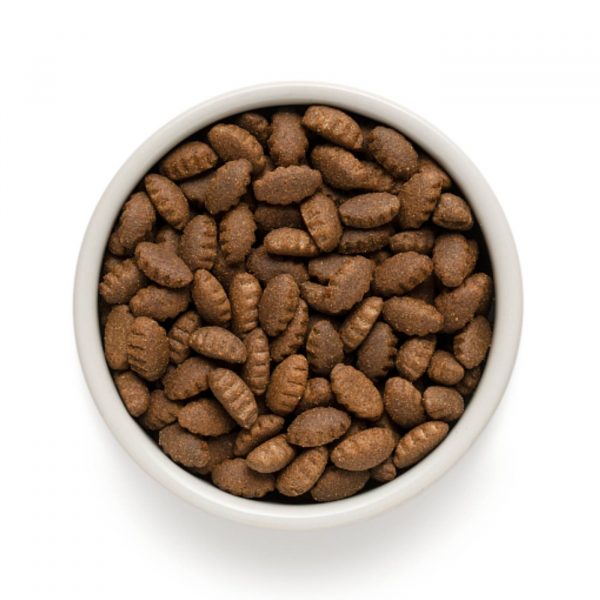 grandorf adult large breeds agnello e riso integrale per cani adulti grande taglia