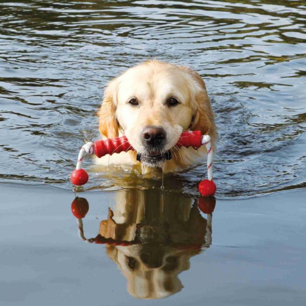 Trixie Gioco per Cani Mot®-Long in Gomma 20cm/44cm Colori Assortiti - Galleggia in acqua