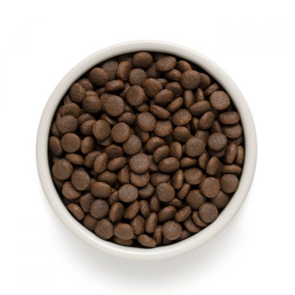 grandorf adult grain free coniglio e tacchino medium & maxi per cani adulti