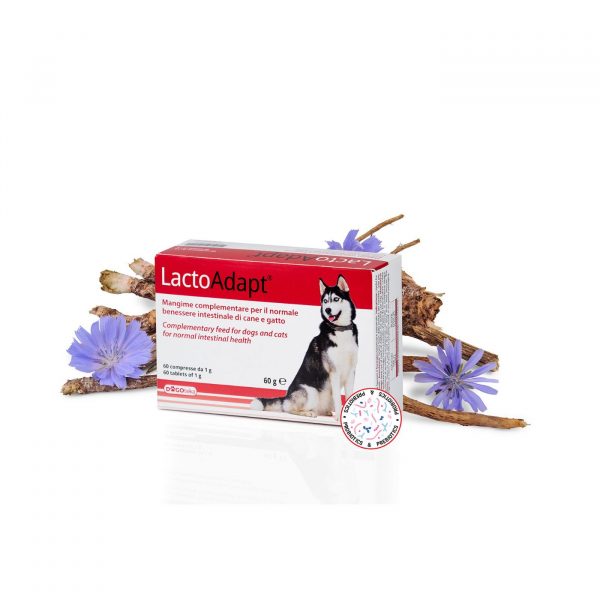 Dogoteka LactoAdapt® 2023 per Cani e Gatti - Formato 60 compresse