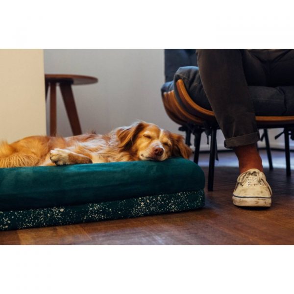 Zee.Dog Cuccia Zee.Bed Verde