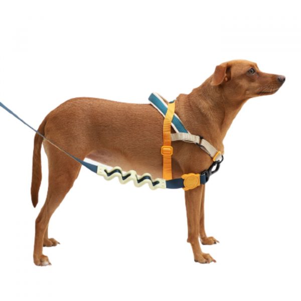 Zee.Dog Guinzaglio Ammortizzato Voyage per Cani