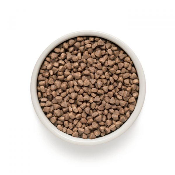 grandorf cat adult indoor pesce bianco e riso integrale per gatti