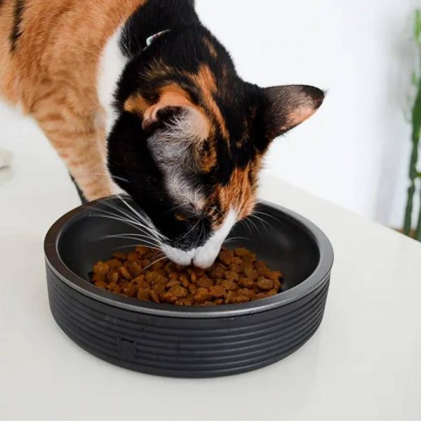 zee.cat duo bowl ciotola per gatti d.18cm 430ml